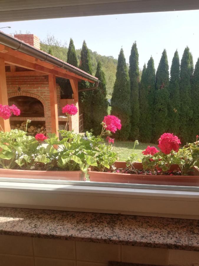 Holiday Homer Kuca Na Obali Vrbasa Banja Luka Ngoại thất bức ảnh